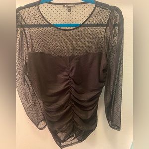 Express Large Sheer Top